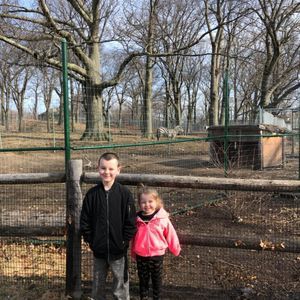 Meet your Posher, Shelly